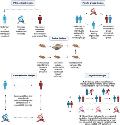 Exercise Training and Circulating Small Extracellular Vesicles: Appraisal of Methodological Approaches and Current Knowledge